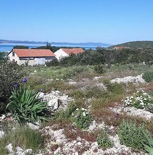 Robinson In With Seaview, Terrace Pašman