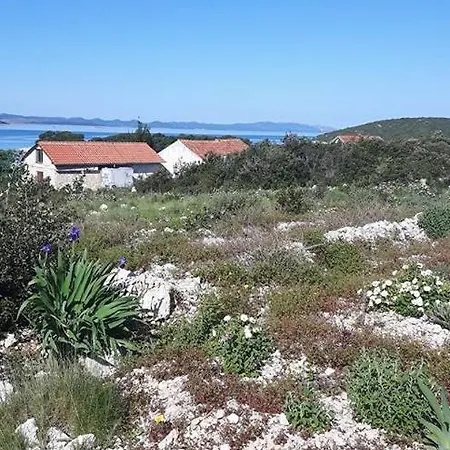 Robinson In With Seaview, Terrace Pašman